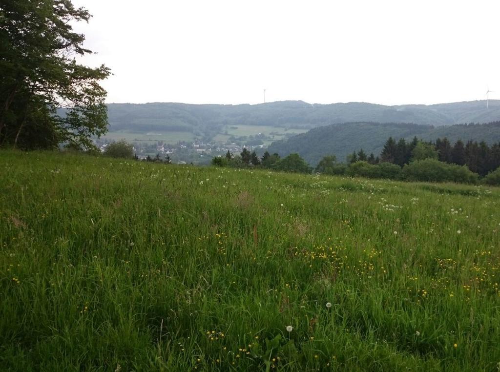 Ferienwohnung Mai Plettenberg Dış mekan fotoğraf